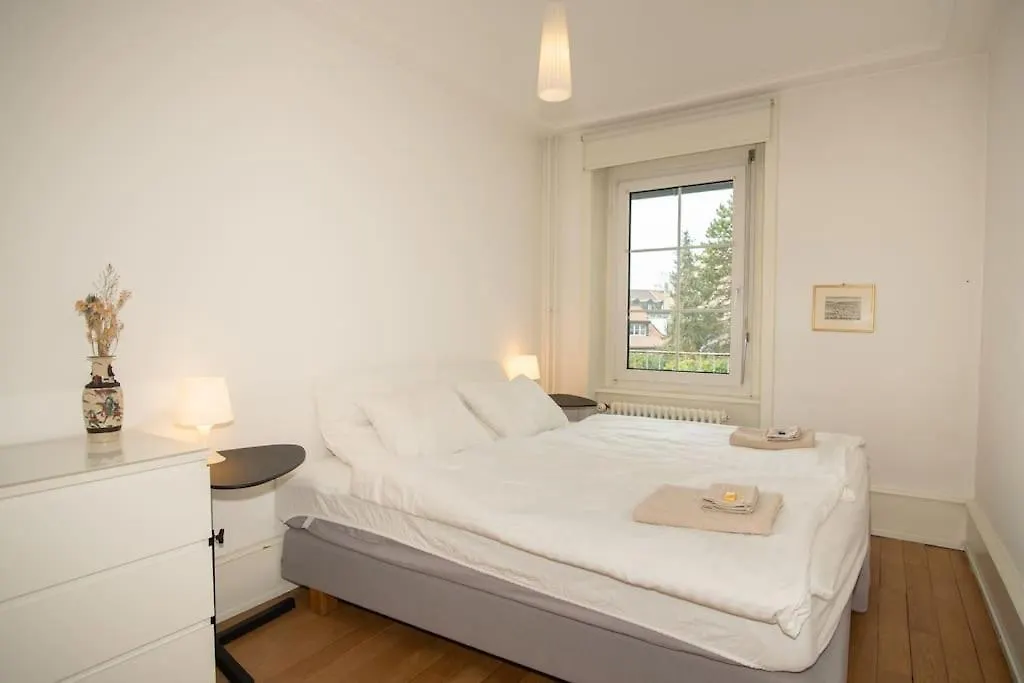 Spacious Apartment Next To Park With Free Baselcard 0*, Basel