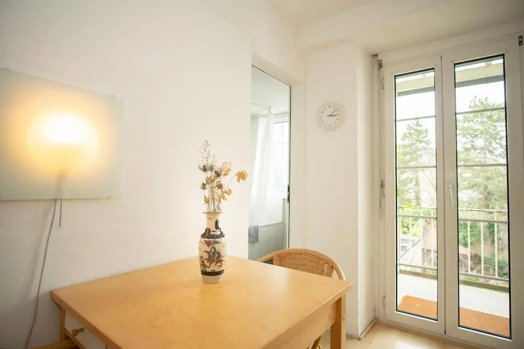 Spacious Apartment Next To Park With Free Baselcard 0*, Basel Switzerland